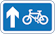 Bike Share Map